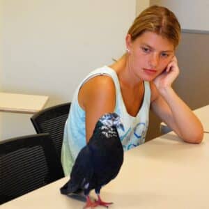 Girl Meets Pigeon